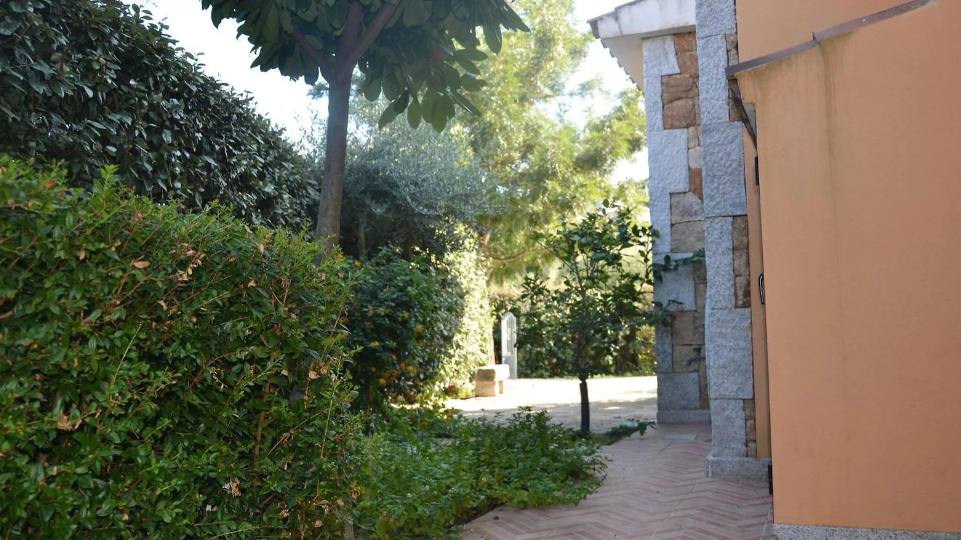 Via Budroni - Fbu-Sal01 San Lorenzo  Appartamento